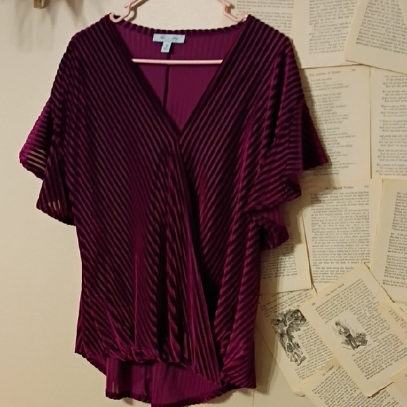 She + Sky Tops - Beautiful Velvet Ribbed Top She + Sky